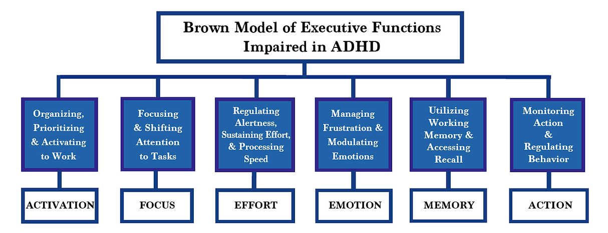 Brown's model diagram